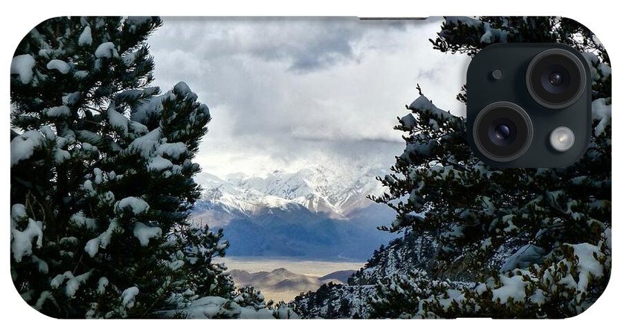 Eastern Sierra iPhone Case featuring the photograph Winter Peek by Amelia Racca