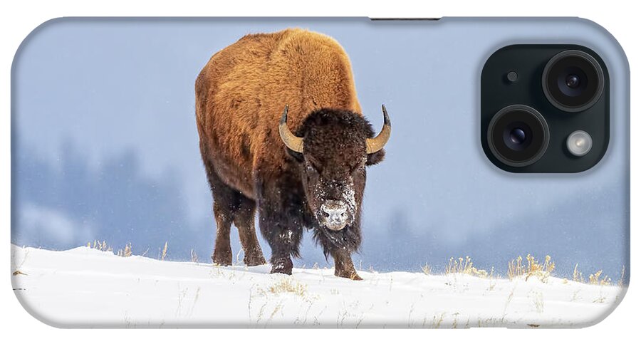 Bison iPhone Case featuring the photograph Winter Warrior by Jack Bell