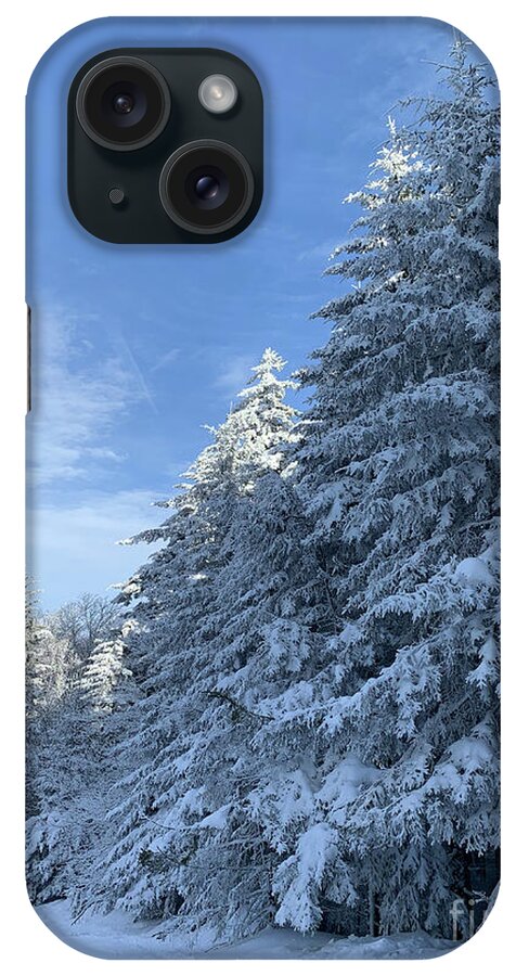  iPhone Case featuring the photograph Winter Wonderland by Annamaria Frost