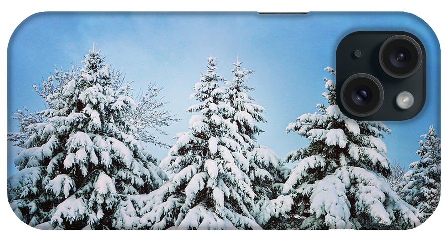 Winter iPhone Case featuring the photograph Winter Wonderland by Sarah Lilja