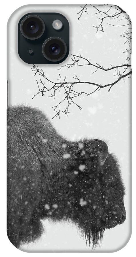Bison iPhone Case featuring the photograph Winter Wood Bison by Scott Slone