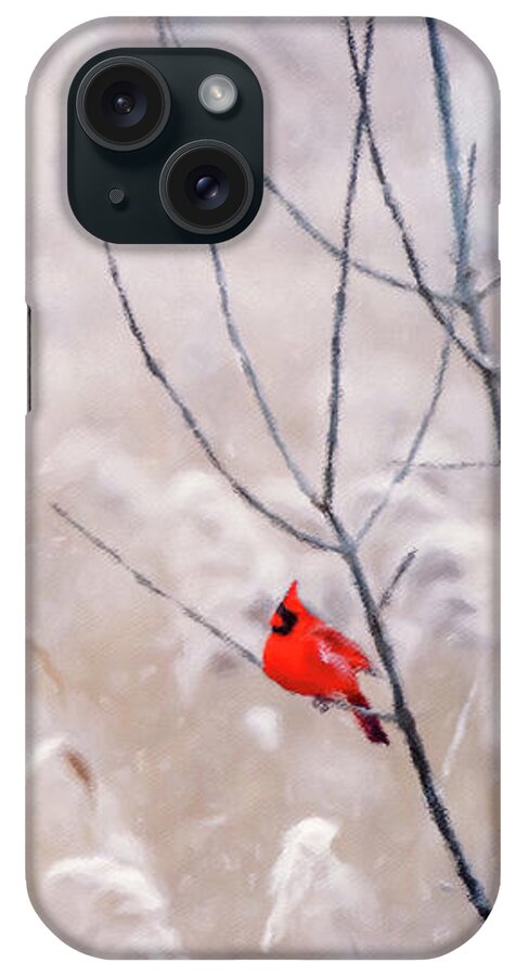 Winter's Keep iPhone Case featuring the painting Winter's Keep by Susan Maxwell Schmidt