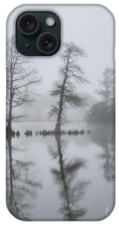 Little Creek iPhone Case featuring the photograph Winters morn by Angela DeFrias