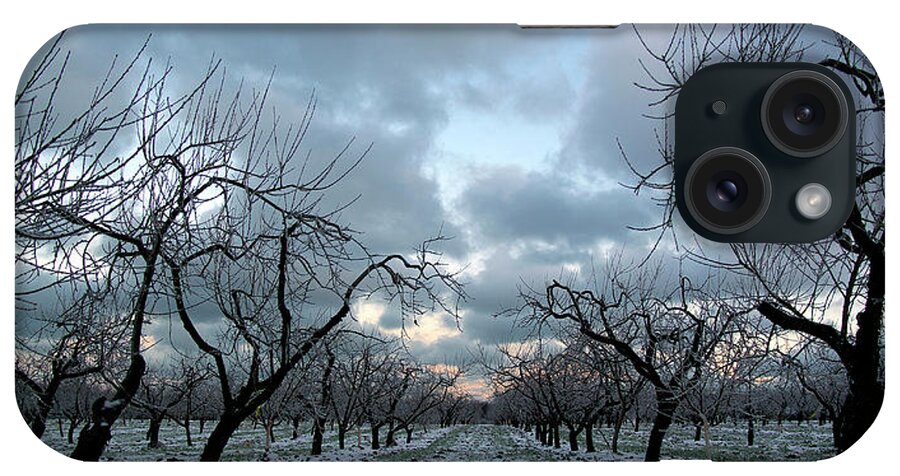 Apple Orchard iPhone Case featuring the photograph Winter's Rest - Niagara on the Lake by Kenneth Lane Smith