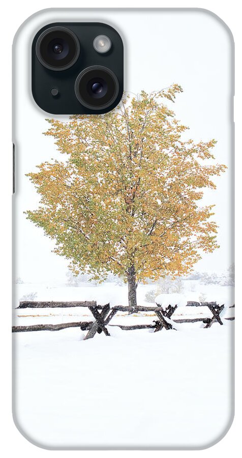 Seasonal iPhone Case featuring the photograph Winter's Soldier by American Landscapes