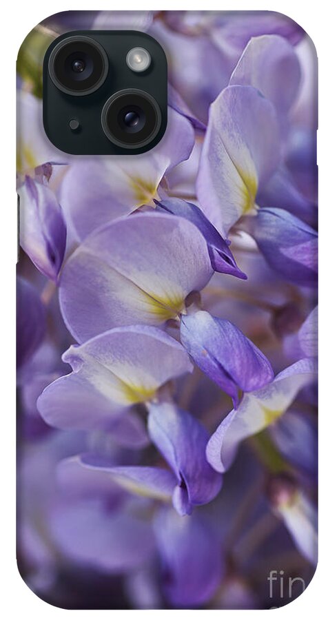 Acanthaceae iPhone Case featuring the photograph Wisteria Romance by Joy Watson