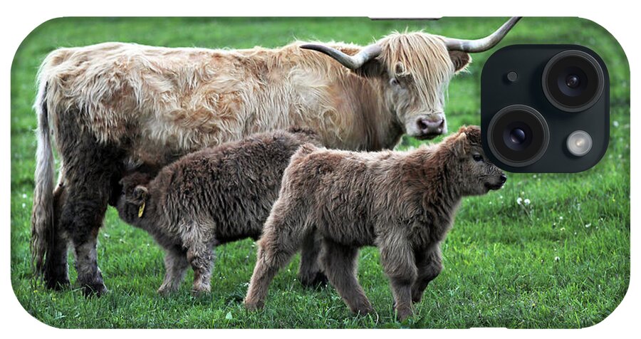 Scottish iPhone Case featuring the photograph Wixom Farm Highland Cattle - Mom and Two Calves by Terry Cork