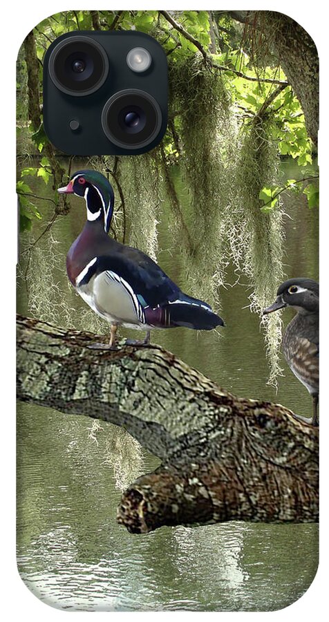 Ducks iPhone Case featuring the digital art Wood Ducks of Florida by M Spadecaller