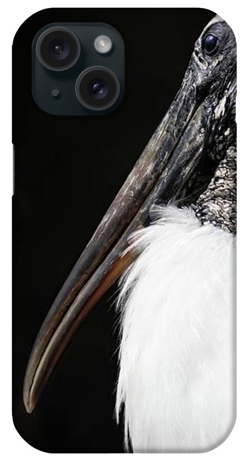 Wood Stork iPhone Case featuring the photograph Wood Stork by Rebecca Herranen