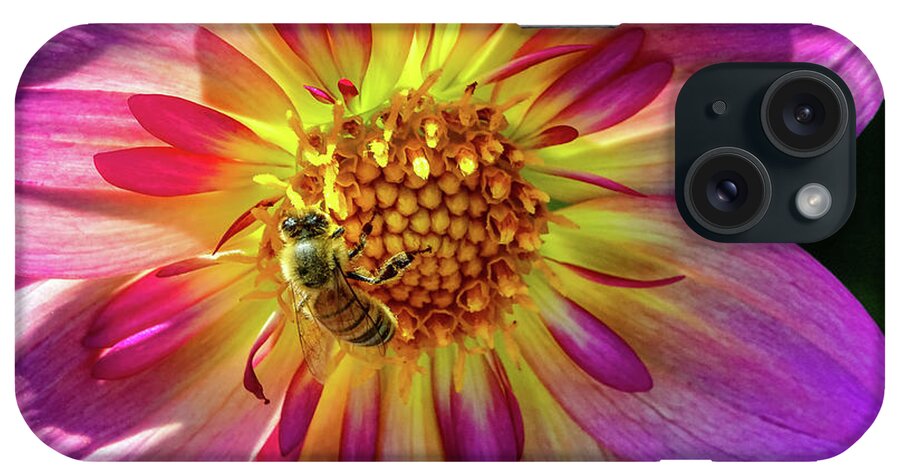 Bellevue Botanical Garden iPhone Case featuring the photograph Worker Bee by Larey McDaniel