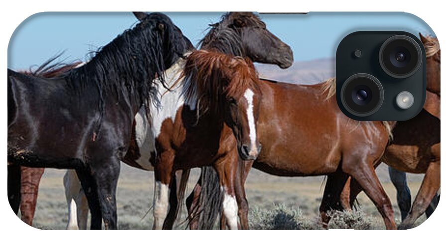 Wild Horses iPhone Case featuring the photograph Wyoming Wild by Mary Hone