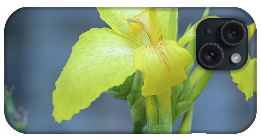 Flowers iPhone Case featuring the photograph Yellow Canna Lily by Frank Mari