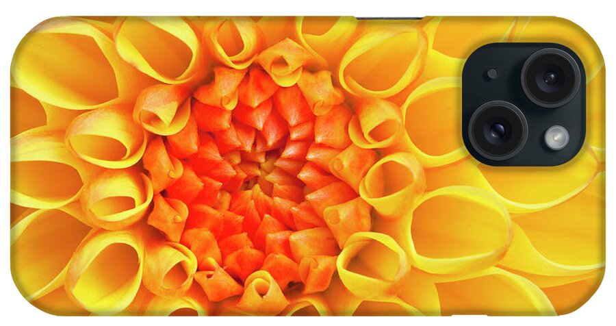 Yellow Flower iPhone Case featuring the photograph Yellow Dahlia flower head by Neale And Judith Clark