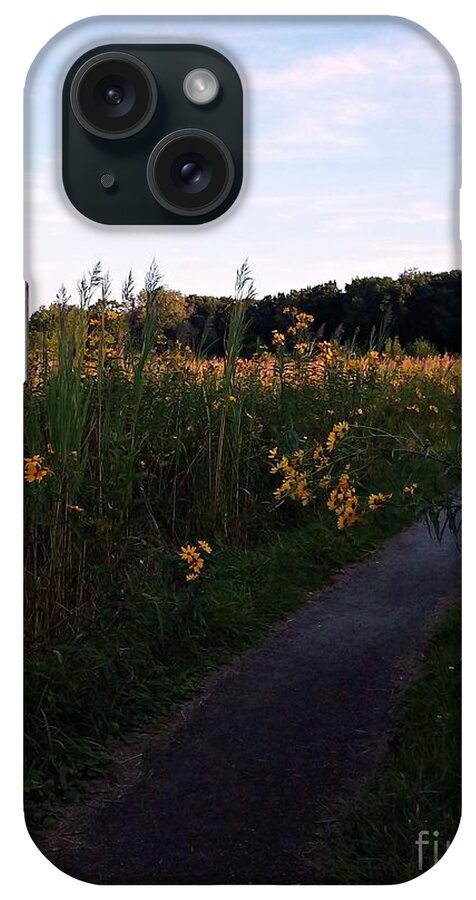 Flowers iPhone Case featuring the photograph Yellow Daisies Under The Blue Sky - Art Photograph by Frank J Casella by Frank J Casella