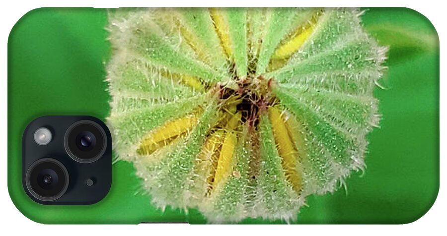 Art iPhone Case featuring the photograph Yellow Daisy Bud Macro by Joan Han