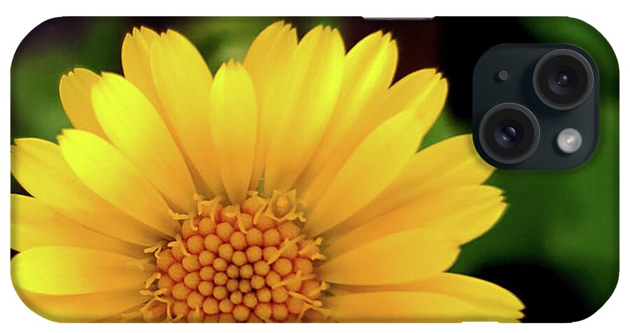 Art iPhone Case featuring the photograph Yellow Daisy I by Joan Han
