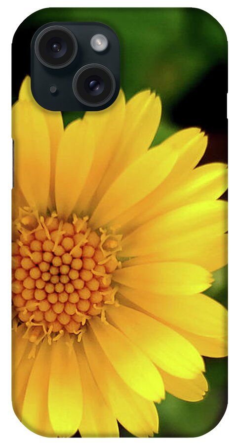 Art iPhone Case featuring the photograph Yellow Daisy I Vertical by Joan Han