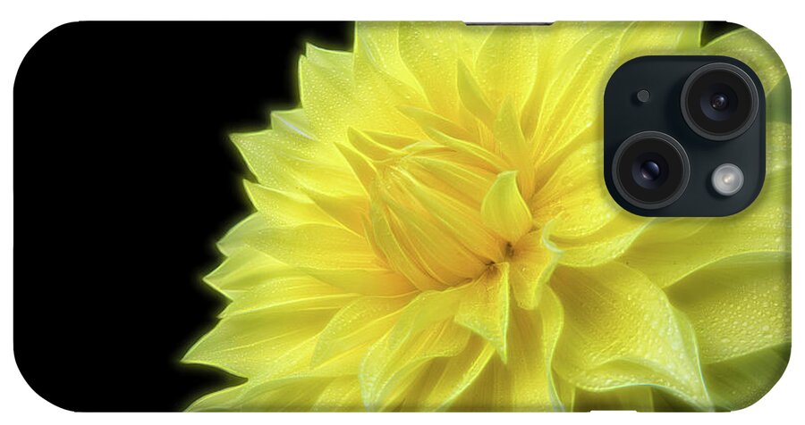 Dahlia Photography iPhone Case featuring the photograph Yellow Dandy by Judi Kubes