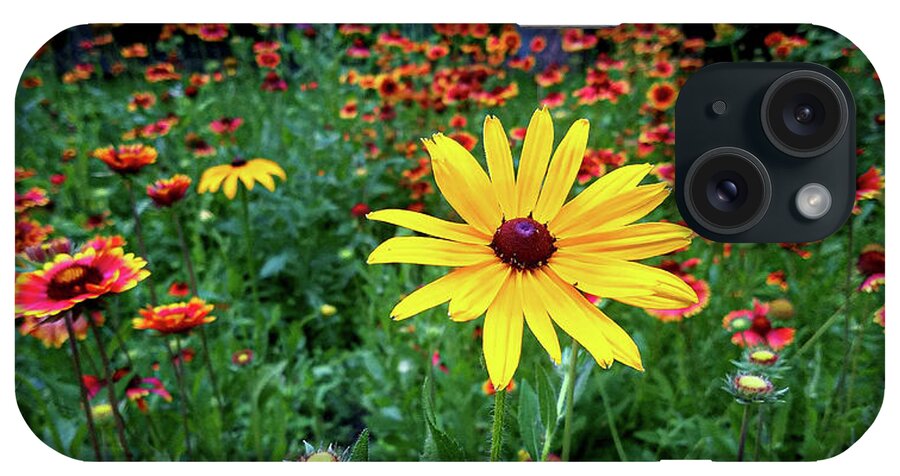 Yellow Flower Field Green Red iPhone Case featuring the photograph Yellow Flower in Field by David Morehead