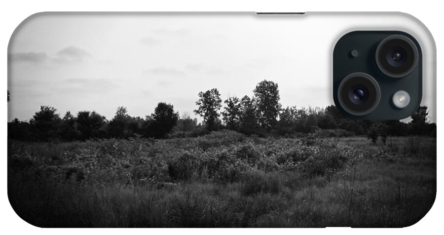 Wetlands iPhone Case featuring the photograph Yellow Flowers in the Field - Black and White - Frank J Casella by Frank J Casella