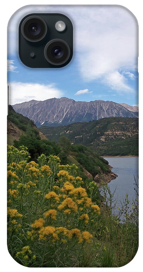 Usa iPhone Case featuring the photograph Yellow Flowers by Jennifer Robin