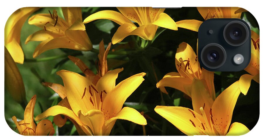 Flowers iPhone Case featuring the photograph Yellow Lilies by Trina Ansel