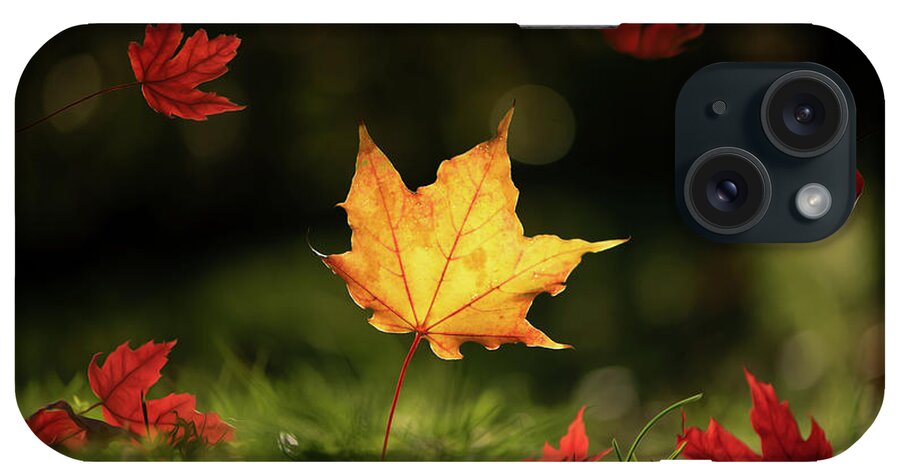 Fall Leaves iPhone Case featuring the photograph Yellow Maple Leaf by Naomi Maya