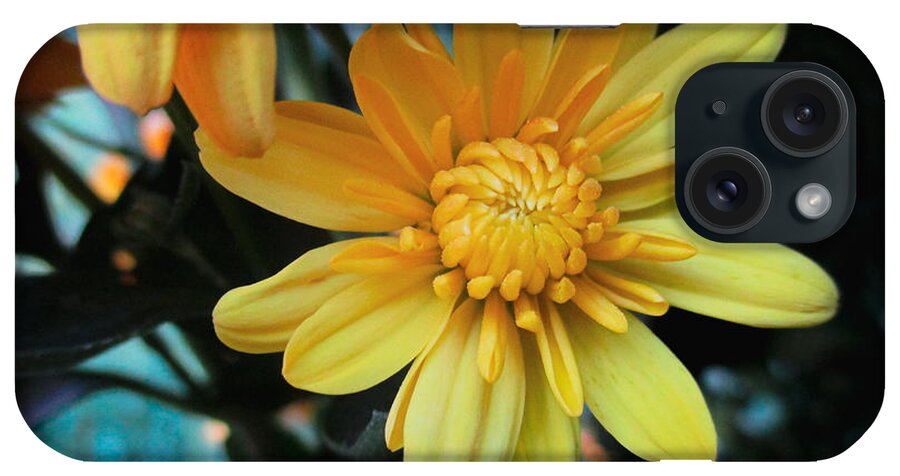 Marigold iPhone Case featuring the photograph Yellow Marigold by W Craig Photography