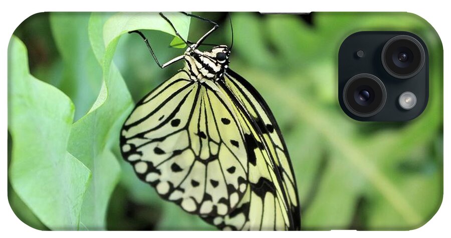Monarch iPhone Case featuring the photograph Yellow Monarch Butterfly by Pour Your heART Out Artworks