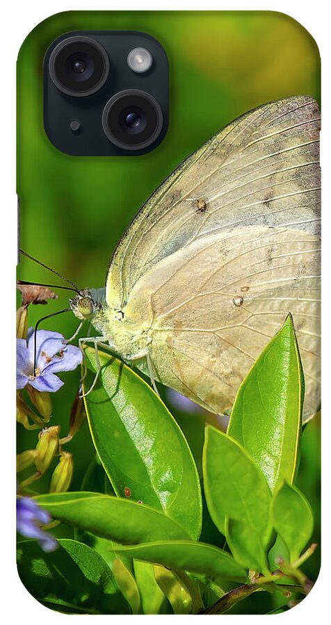 Nature iPhone Case featuring the photograph Yellow Orange Tip Butterfly DTHN0299 by Gerry Gantt