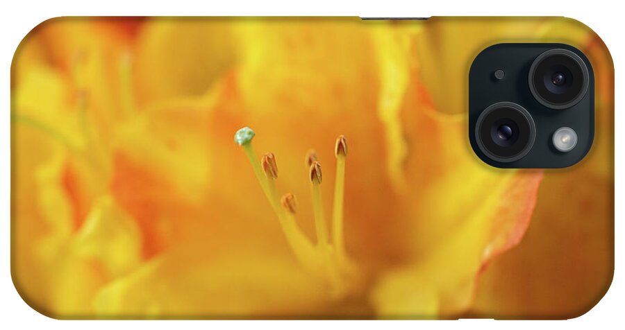 Fine Art iPhone Case featuring the photograph Yellow rhododendron flower by Average Images