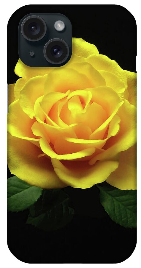 Rose iPhone Case featuring the photograph Yellow Rose 6 by Johanna Hurmerinta