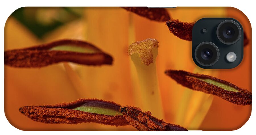 Flower iPhone Case featuring the photograph Yellow Stamen by Paul Freidlund