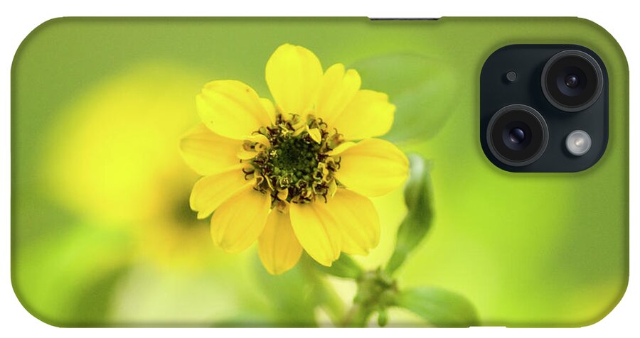 Color iPhone Case featuring the photograph Yellow Zinnias by Dorothy Lee