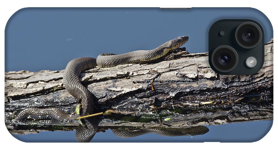 Wildlife iPhone Case featuring the photograph Yellowbelly Water Snake - 8494 by Jerry Owens
