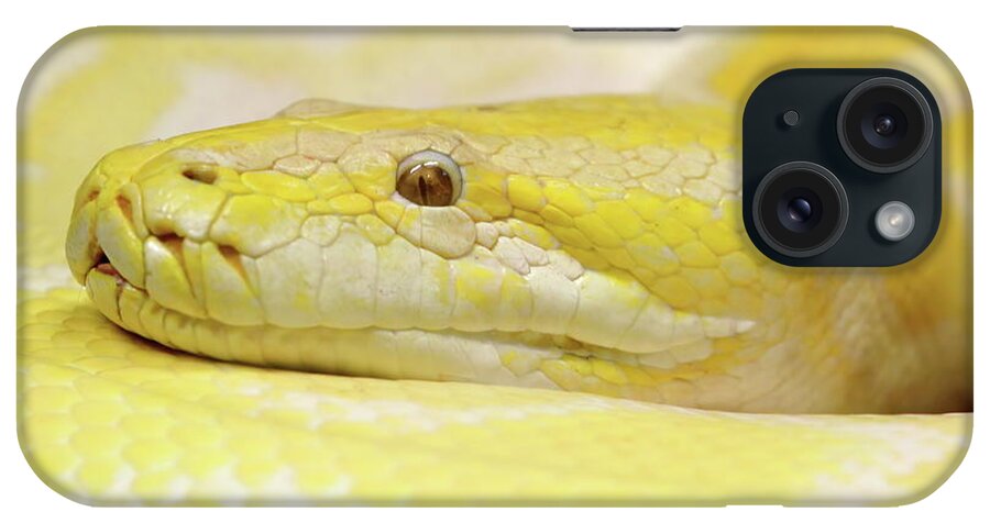 Python iPhone Case featuring the photograph Yesssss Yellow by Lens Art Photography By Larry Trager