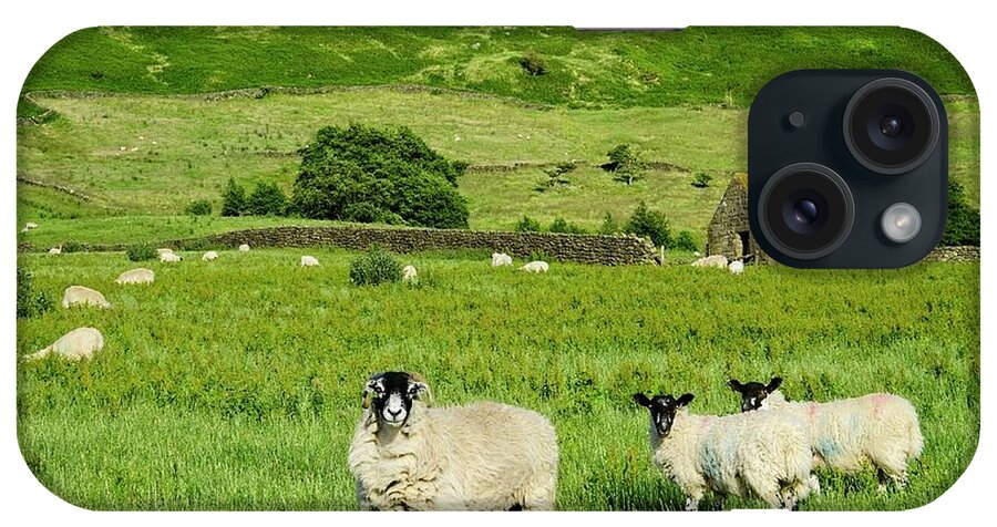 Yorkshire Moors iPhone Case featuring the photograph Yorkshire Moorland Summer by Martyn Arnold