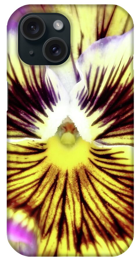 Floral iPhone Case featuring the photograph You Pansy by Lens Art Photography By Larry Trager