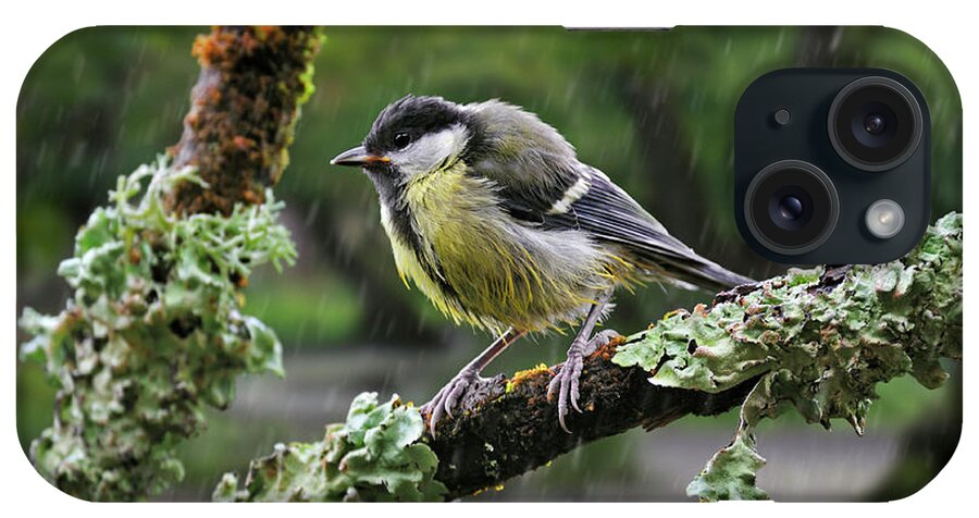 Great Tit iPhone Case featuring the photograph Young Great Tit in the Rain by Arterra Picture Library