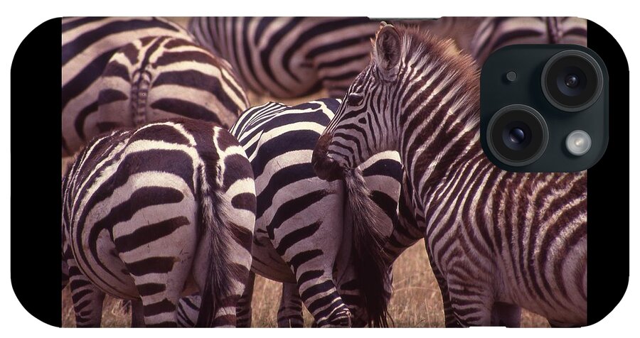 Africa iPhone Case featuring the photograph Zebra Butts Head by Russel Considine