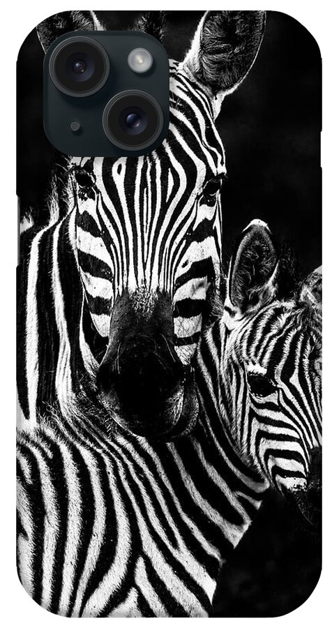 Africa iPhone Case featuring the photograph Zebra Mother and Foal Portrait - High Contrast by Eric Albright