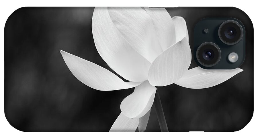 Flower iPhone Case featuring the photograph Zen Morning by John F Tsumas