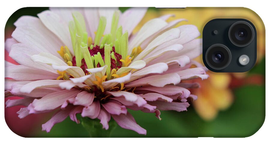 Zinna iPhone Case featuring the photograph Zinna in Lavender by Mary Anne Delgado