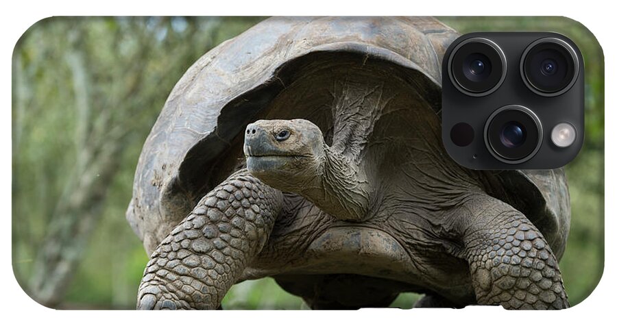 Volcan Alcedo Giant Tortoise #4 iPhone 15 Pro Max Case by Tui De Roy -  Animals and Earth - Website
