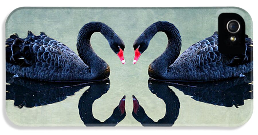 Swan iPhone 5 Case featuring the mixed media Black Swan #1 by Heike Hultsch