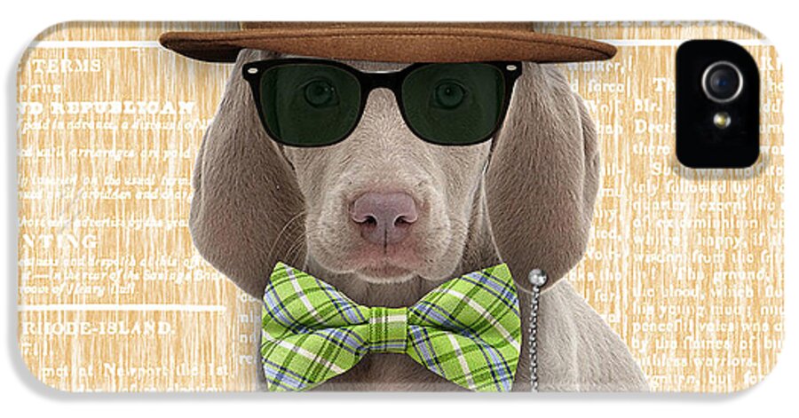 Weimaraner iPhone 5 Case featuring the mixed media Weimaraner Bowtie Collection #1 by Marvin Blaine