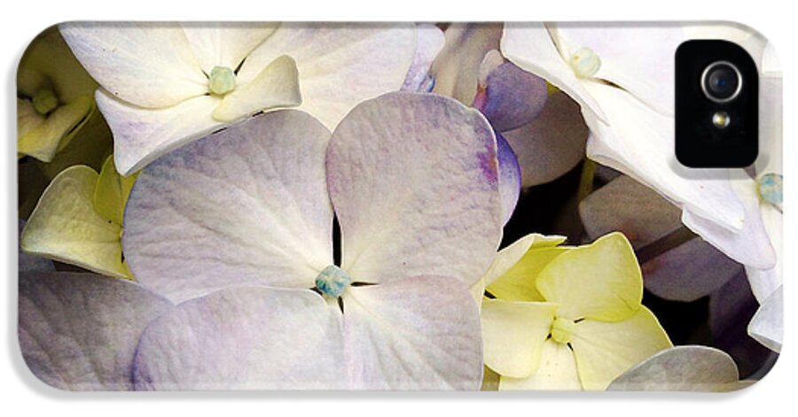Flower iPhone 5 Case featuring the photograph Petals #2 by Les Cunliffe