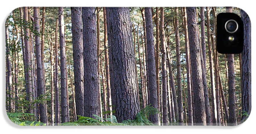 Woods iPhone 5 Case featuring the photograph Woods #2 by David Isaacson