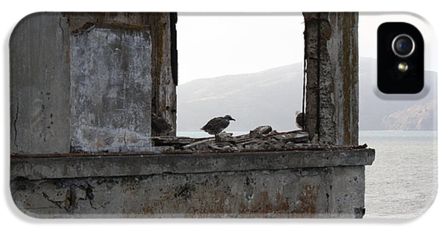 Alcatraz iPhone 5 Case featuring the photograph Alcatraz Bird by Rick Hale