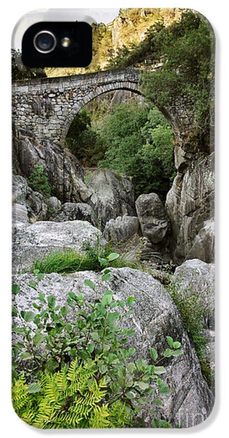Portugal iPhone 5 Case featuring the photograph Ancient Romanic Bridge by Carlos Caetano